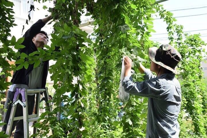 シェア畑の様子② シェア畑の様子②